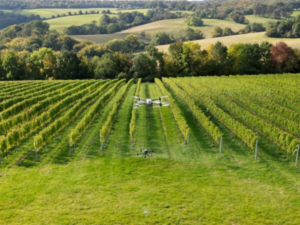 drones in the vineyard