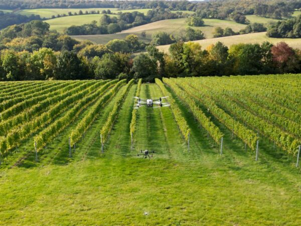 drones in the vineyard