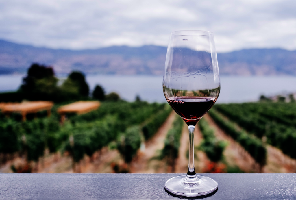 wine glass in vineyard