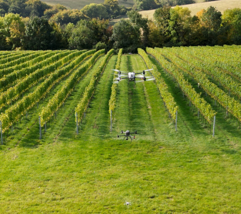 drones at JoJo's vineyard