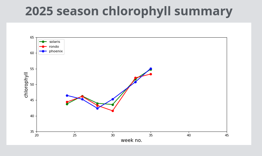 llanerch chlorophyll 2025