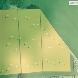 Vineyard chlorophyll map